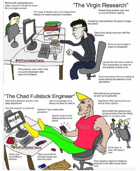 Virgin Research vs Chad Engineer