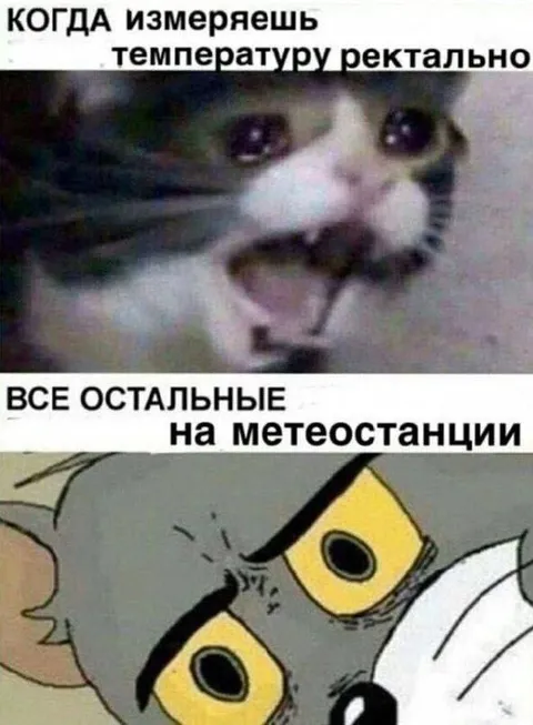 Когда измеряешь температуру ректально