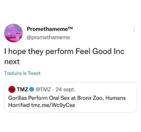 Feel Good Inc at the Zoo