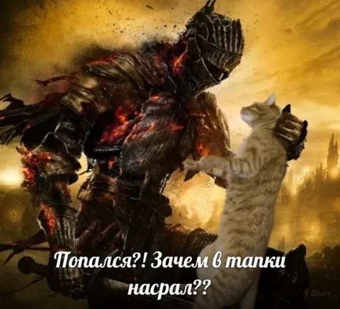 Рыцарь поймал кота за пакость