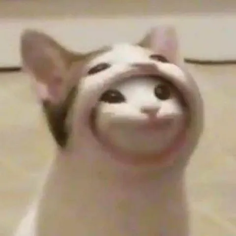Улыбающийся кот в капюшоне