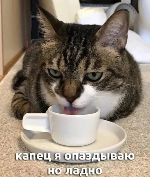 Капец, я опаздываю
