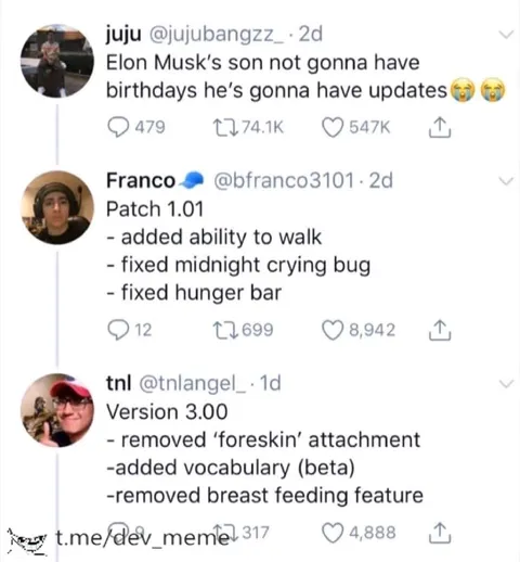 Elon Musk Son Update Meme