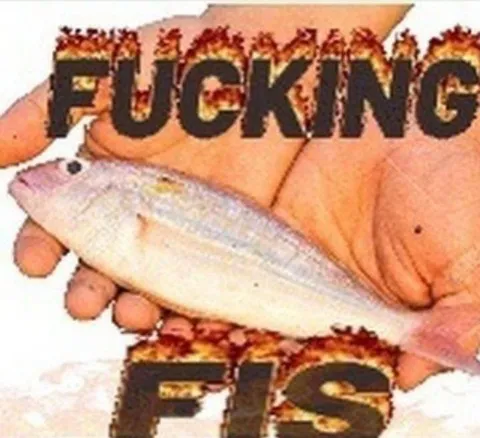Fucking Fish Reaction