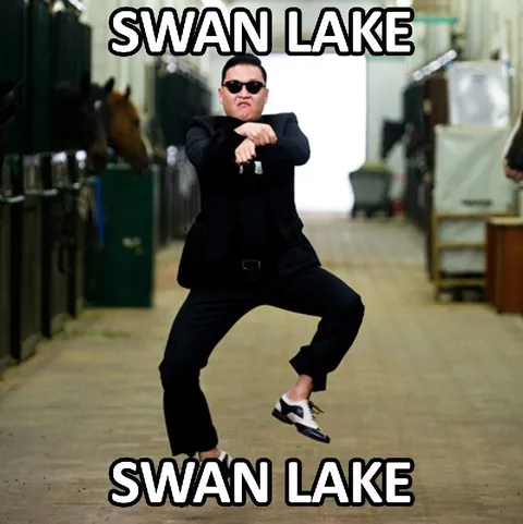 PSY Dancing Swan Lake