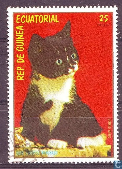 Gato en sello de Guinea Ecuatorial