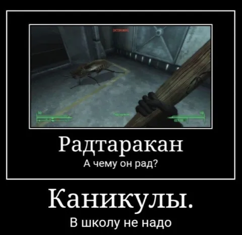 Радтаракан на каникулах