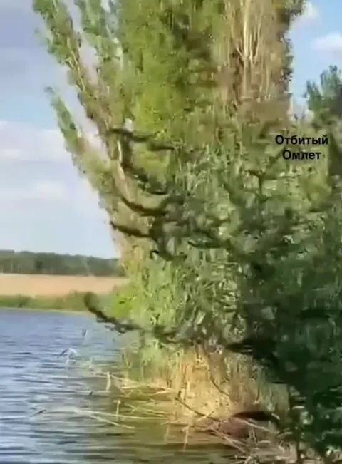 Лодка перевернулась в прекрасную погоду