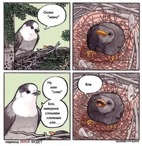 Скажи мама или сова