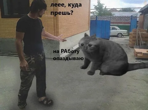 Кот опаздывает на работу