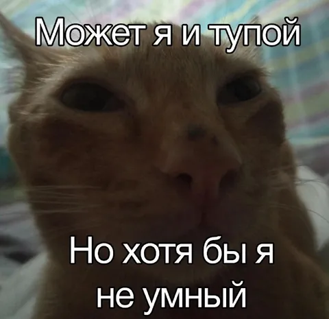 Может я и тупой, но не умный