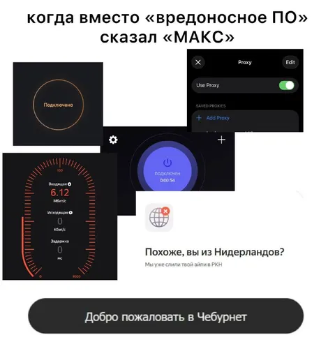 Когда сказал «МАКС» вместо «вредоносное ПО»
