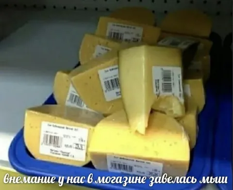 Мышь завелась в магазине