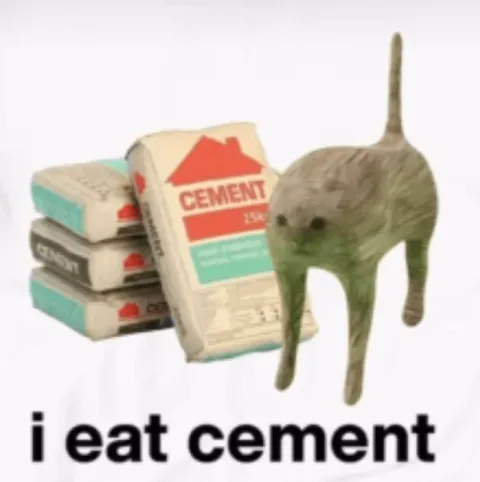 Cat Eats Cement
