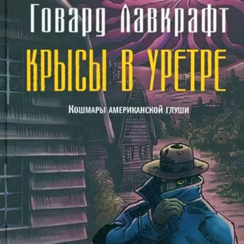 Крысы в Утретре