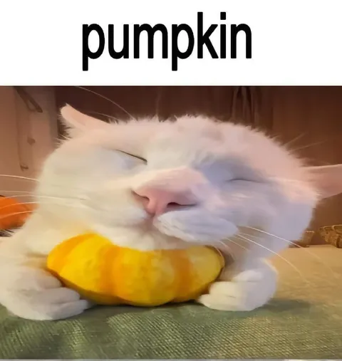 Cat Hugging a Pumpkin