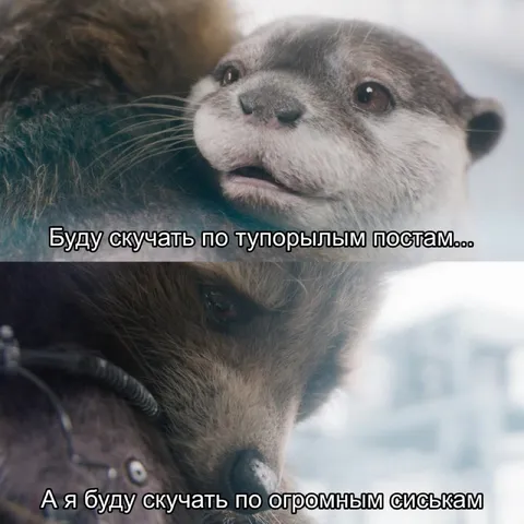 Скучать по тупорылым постам