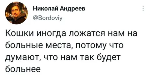 Кошки ложатся на больные места