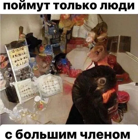 Поймут только люди с большим членом
