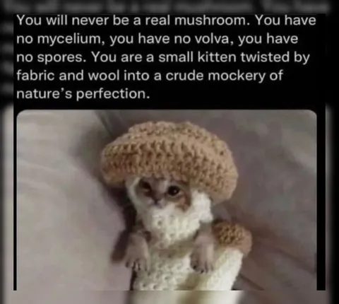 You Will Never Be a Real Mushroom