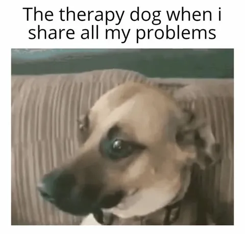 Therapy Dog Hears My Problems