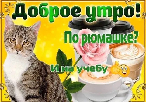 Доброе утро по рюмашке