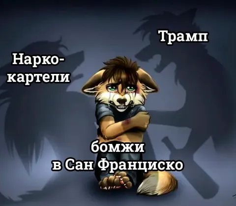 Наркокартели, Трамп и бомжи
