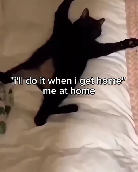 Me at Home Doing Nothing