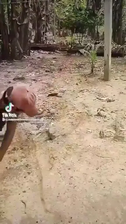 Мужчина не поймал мышь