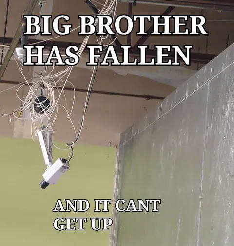 Big Brother Has Fallen