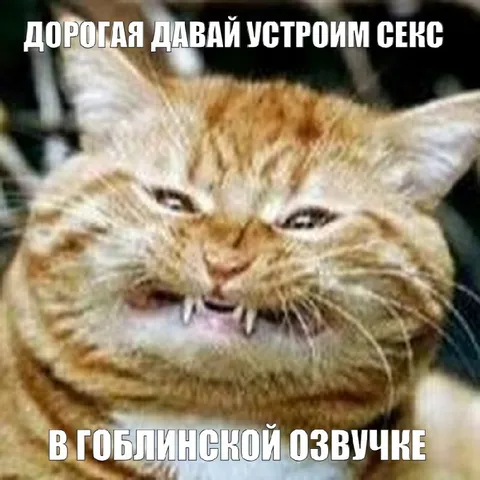 Кот и гоблинская озвучка
