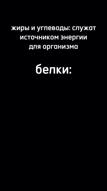 Белки нашли источник энергии