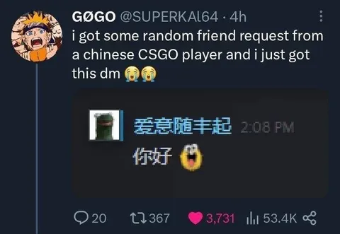 Random Chinese CSGO Friend Request