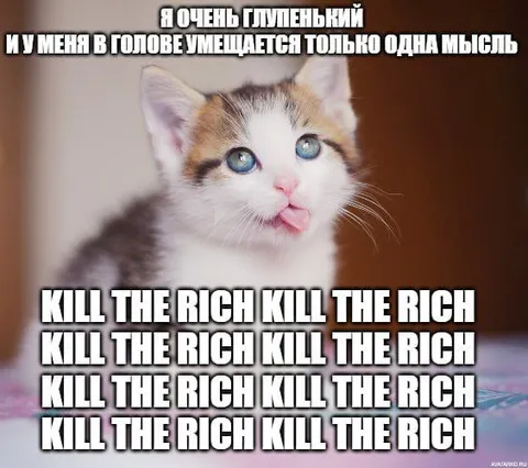 Глупенький котёнок и одна мысль
