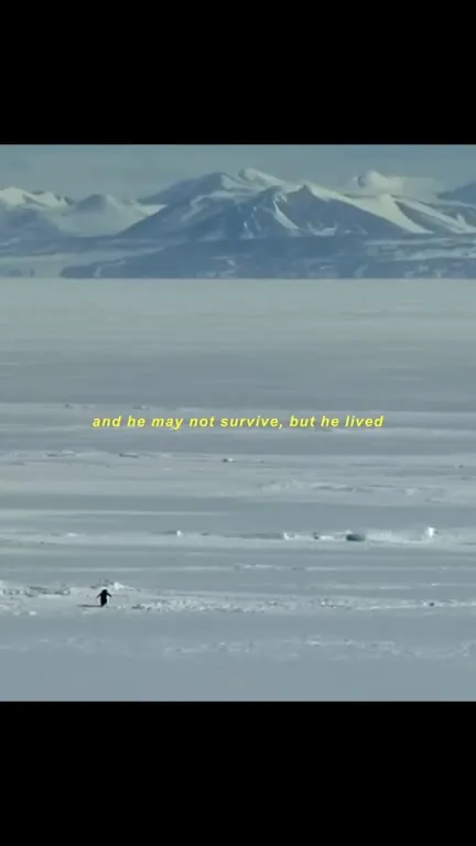 Penguin Walks Into the Void