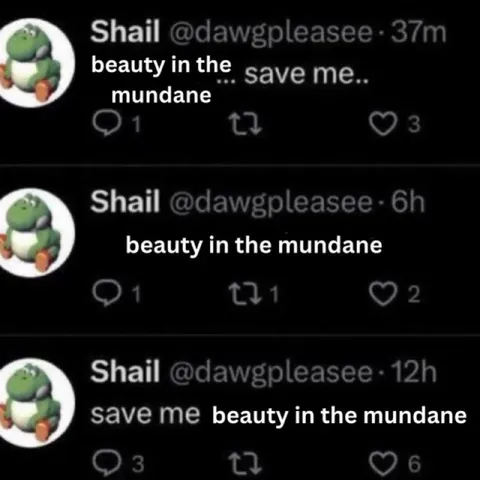 Beauty in the Mundane Tweets