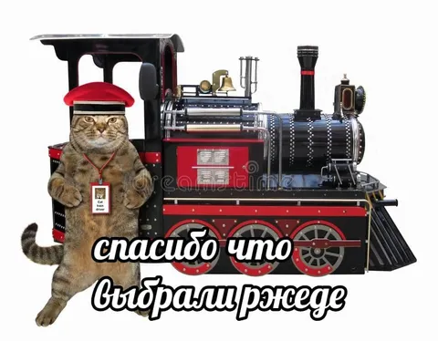 Кот-машинист РЖЕДЕ