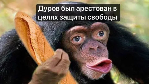 Дуров защищает свободу