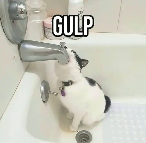 Cat Drinking From the Faucet