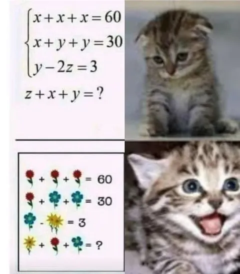 Котята решают задачку с цветами