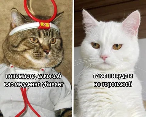 Алкоголь убивает медленно