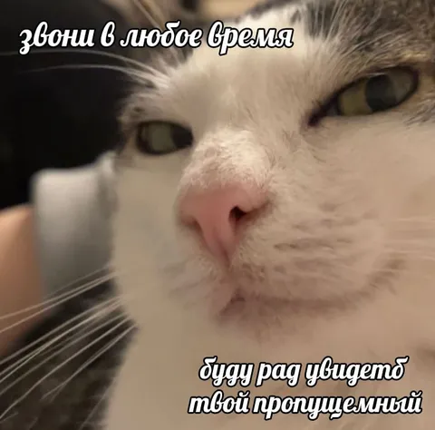 Рад увидеть пропущенный звонок