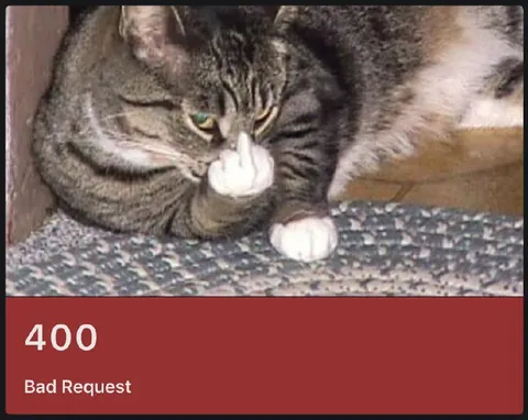 Cat Bad Request