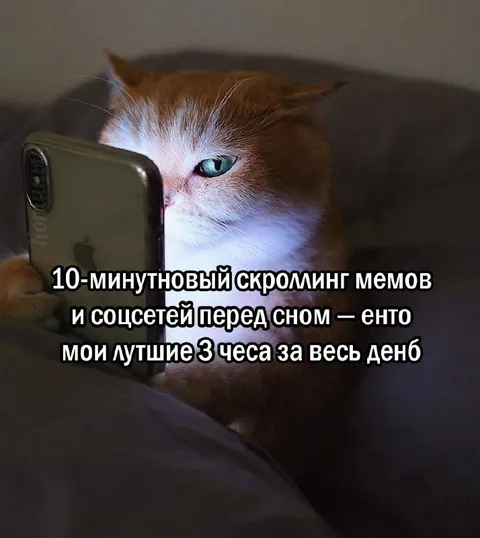 Лучшие три часа перед сном