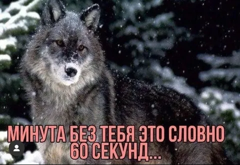 Минута без тебя — 60 секунд