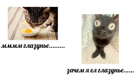 Зачем я ел глазунью