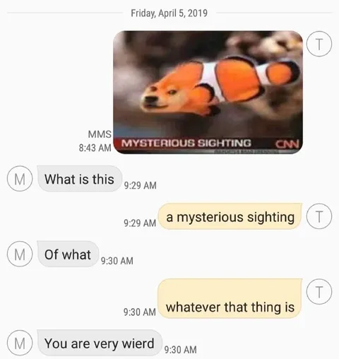 A Mysterious Sighting