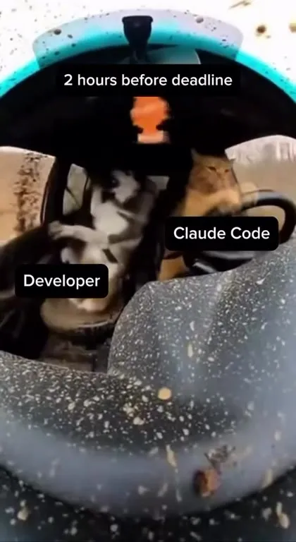 Developer Panics Before Deadline