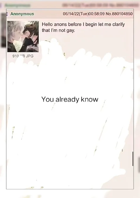 You Already Know I'm Not Gay