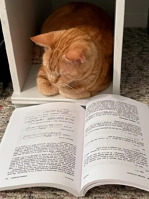 Кот читает учебник